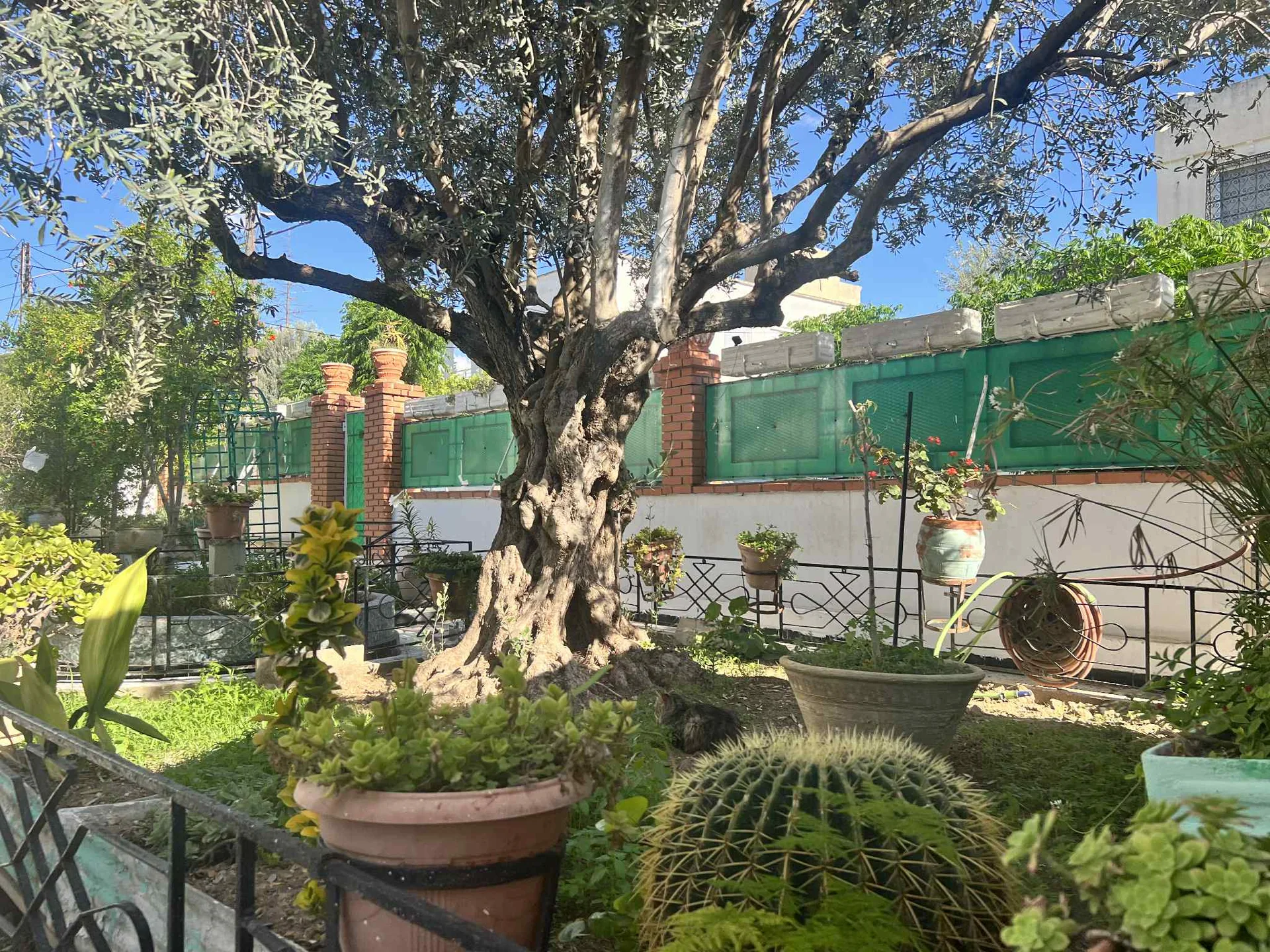 villa a vendre image 1